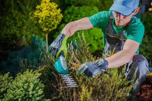 landscaping services Tillson